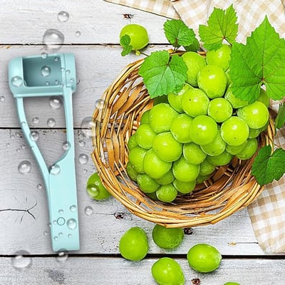 Portables Grape Slicer