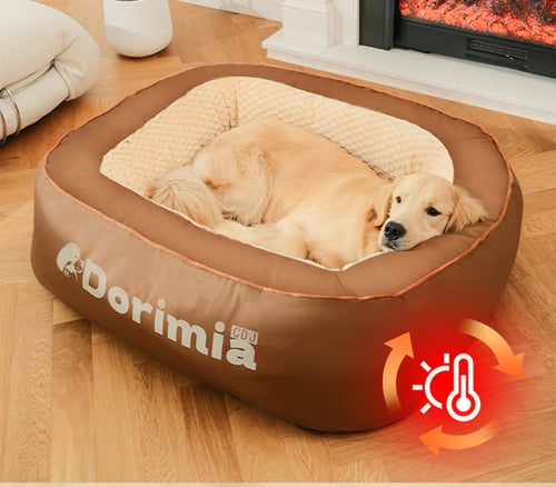 The Deep Sleep Den